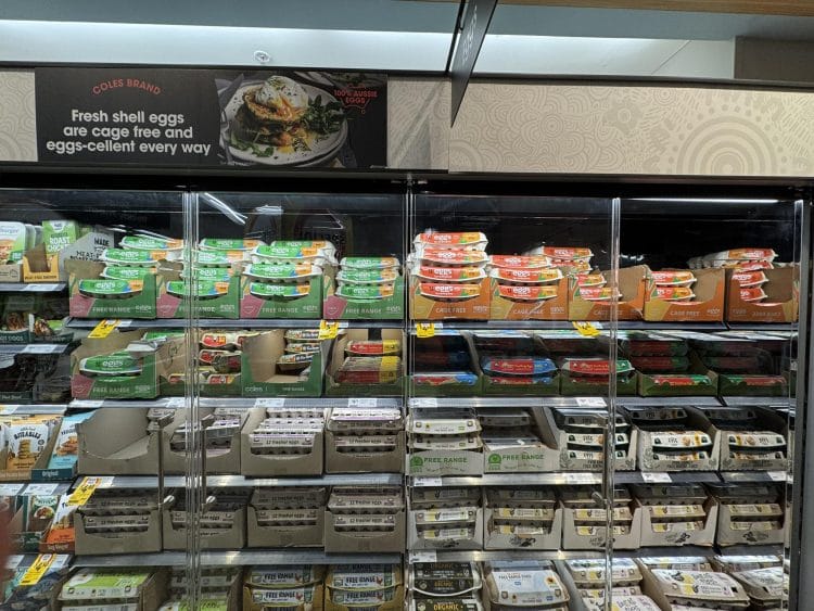 Coles (Warrawong): Pace Farm Eggs quick sale, $4.63