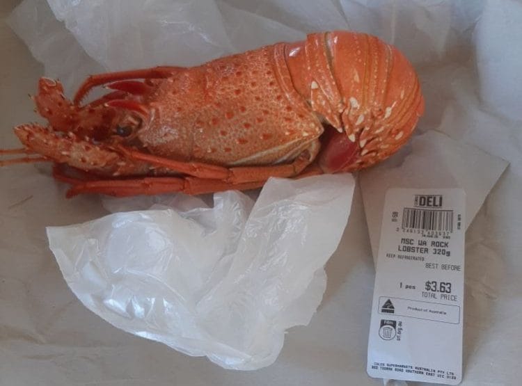 Coles (Edgeworth): $3.63 Lobster