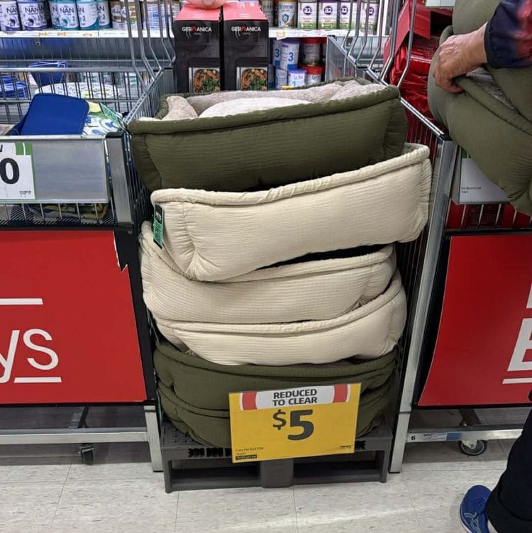 Coles (Warners Bay): $5 Pet Beds