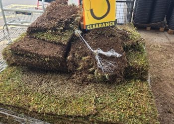 $3 Turf Bunnings