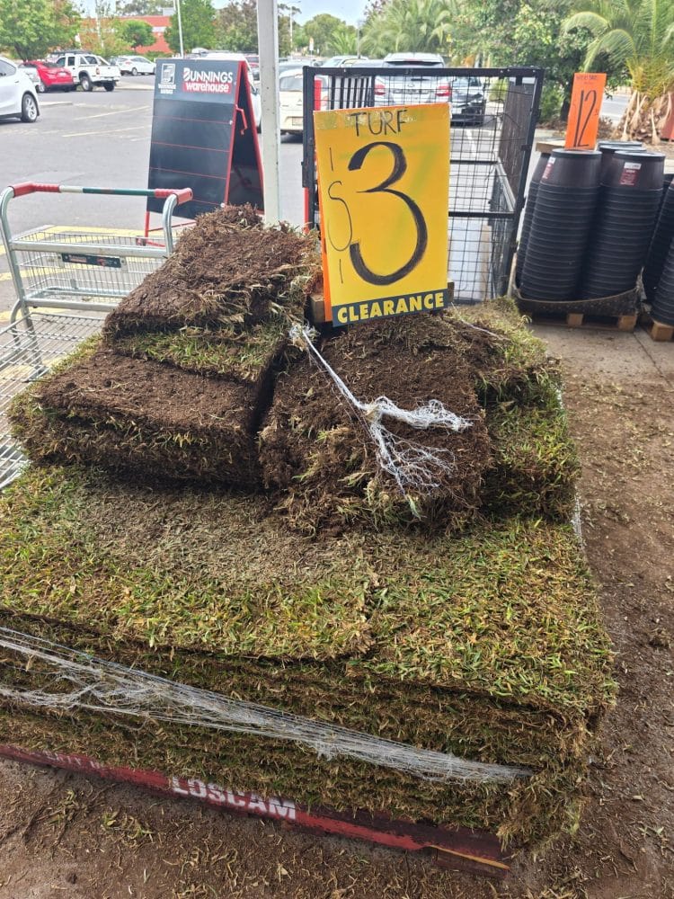 $3 Turf Bunnings