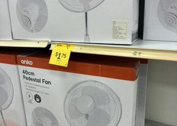 Target (Toowoomba): Anko 40cm pedestal fan $1.75